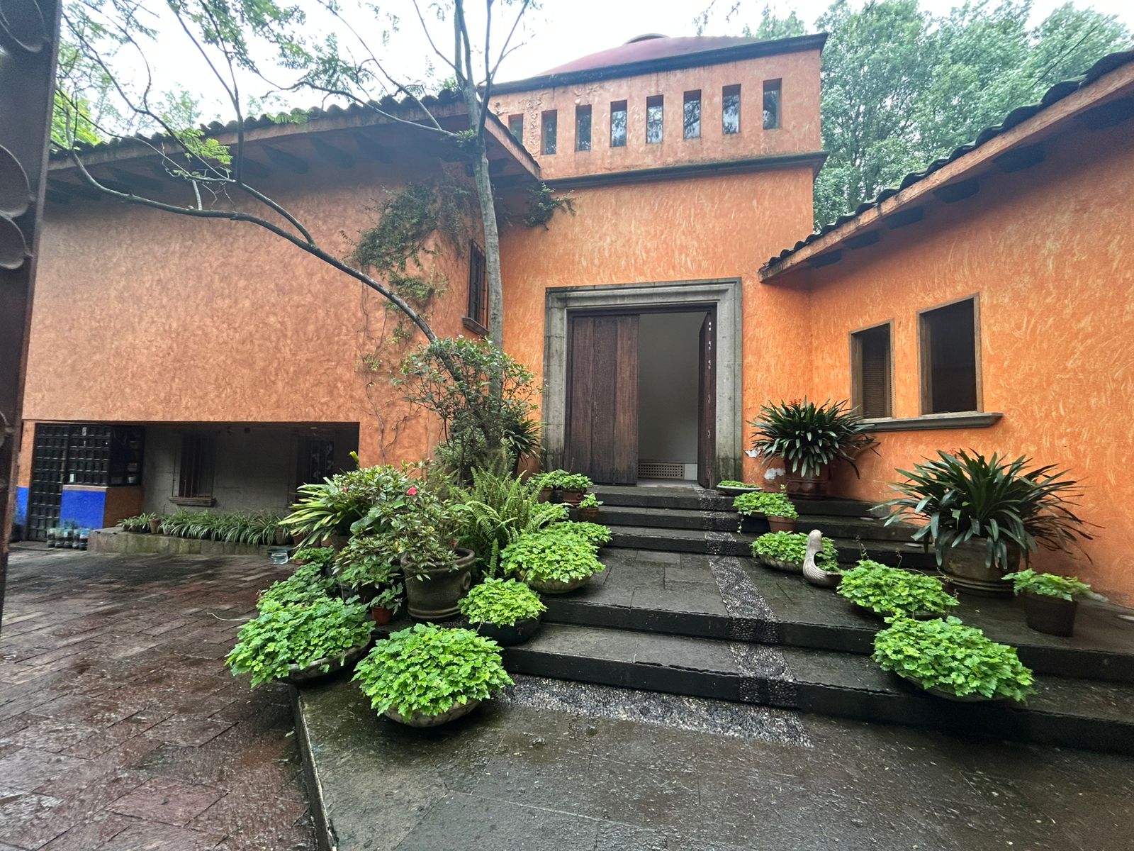 Casa 1