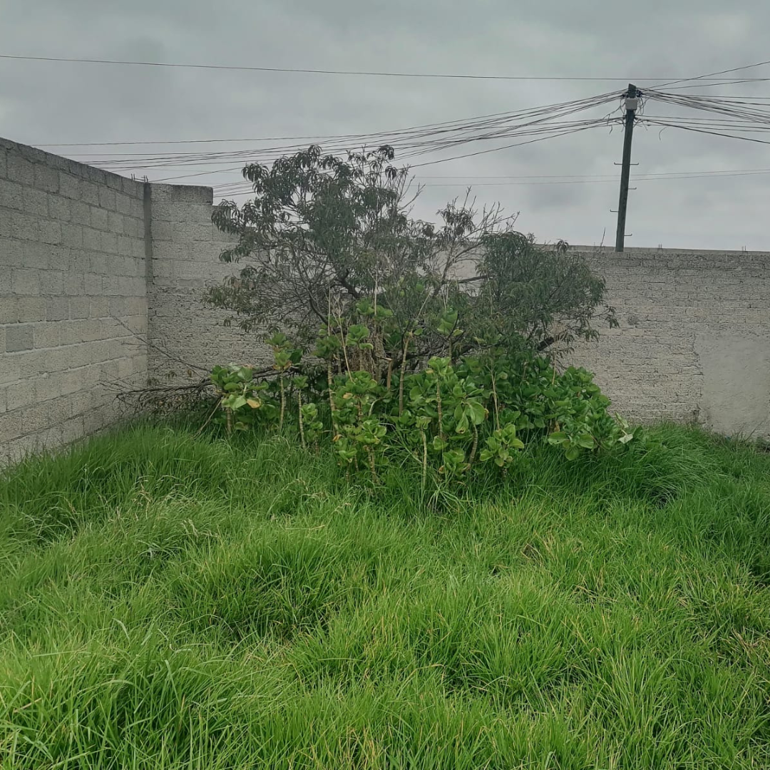 1344-22 CALLE CERRADA DEL OLIVO, SANTA MARIA AJOLOAPAN, MUNICIPIO DE TECAMAC, ESTADO DE MEXICO.