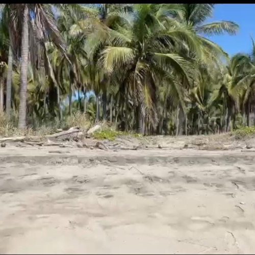 TERRENO, NO. 09 Y 10, FRACC. PLAYA LOS PELICANOS,  PLAYA LAS ANIMAS, CONTIGUO A LA 3RA FRACC.BAHIAS DE PAPONA, GUERRERO