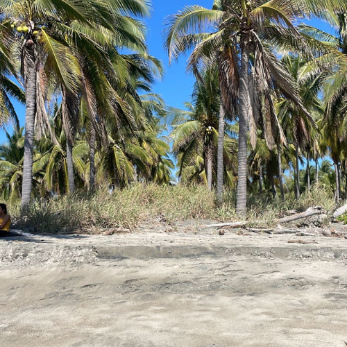 TERRENO, NO. 09 Y 10, FRACC. PLAYA LOS PELICANOS,  PLAYA LAS ANIMAS, CONTIGUO A LA 3RA FRACC.BAHIAS DE PAPONA, GUERRERO