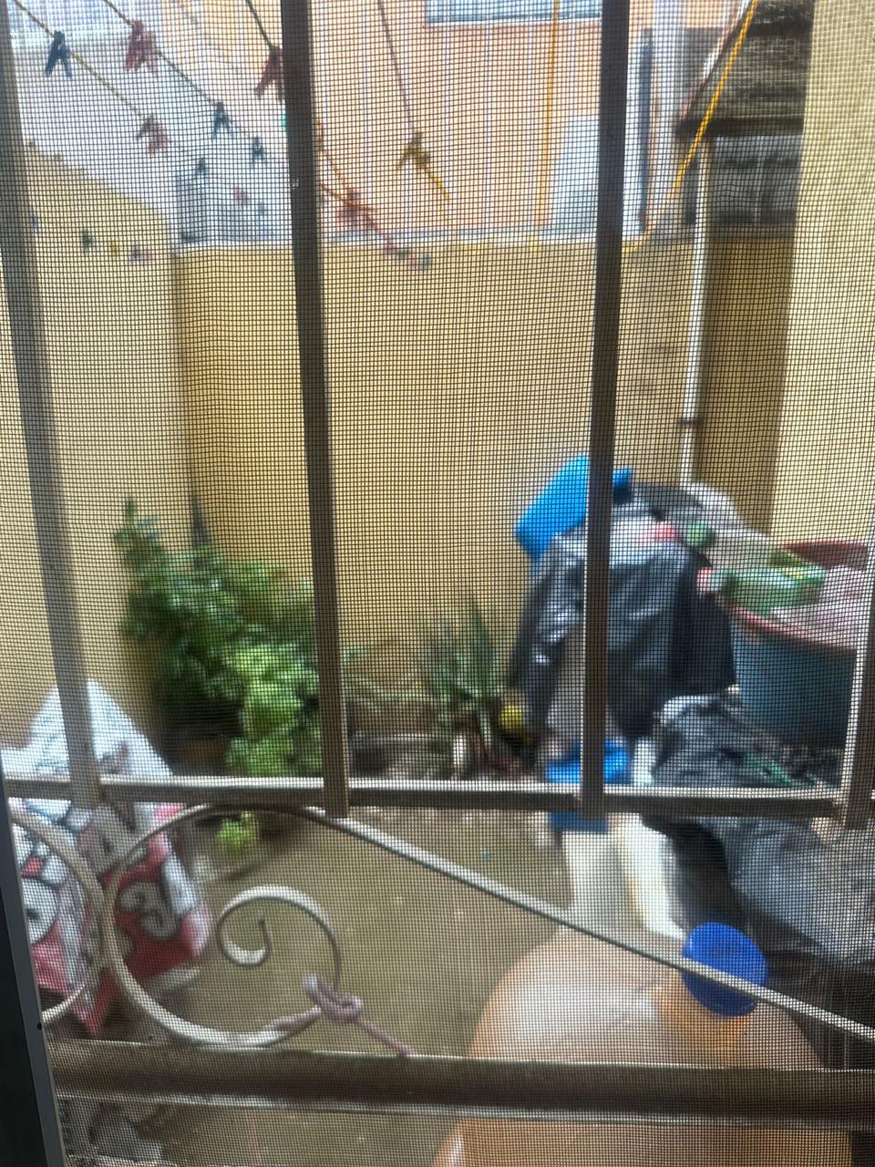 CASA EN VENTA FRACC.REAL DEL SOL, TECAMAC, ESTADO DE MEXICO.